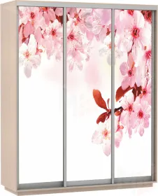 Шкаф-купе Экспресс Фото трио Сакура 1800