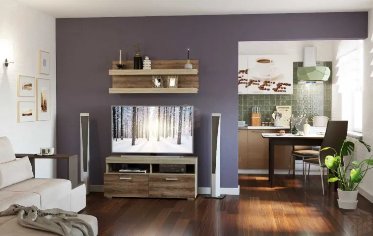 МОДУЛЬНАЯ ГОСТИНАЯ СОНАТА