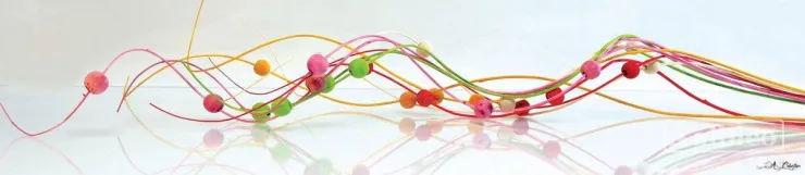 Стеновая панель с фотопечатью SP-037