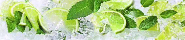 Стеновая панель с фотопечатью FM-49