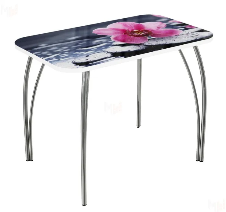Стол прямоугольный с фотопечатью Орхидея на камне, ноги чайка