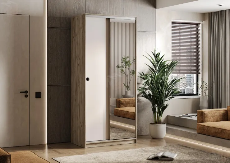 Шкаф-купе Альянс 1,0 (крафт серый/кашемир)