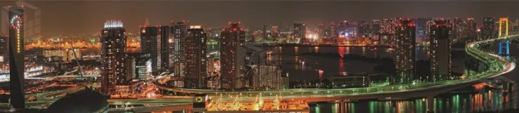 Стеновая панель SP-099