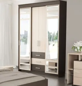 Шкаф-купе Юнона комби