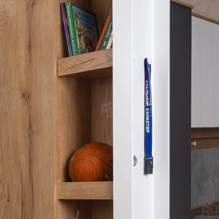 Шкаф МЦН ЛОЙС 85