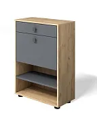 Обувница Мини-Лайт МЛ-4 Дуб крафт золотой/графит