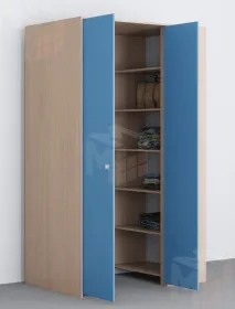 Шкаф-гардеробная ДЕЛЬТА 3