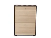 Обувница Мини-Лайт МЛ-7 Венге/ясень