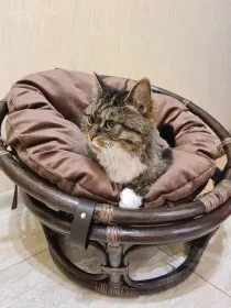 Кресло папасан — мини 23/01F (d=60) с коричневой подушкой