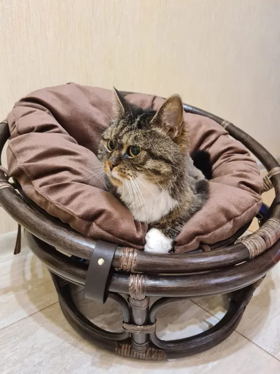 Кресло папасан — мини 23/01F (d=60) с коричневой подушкой