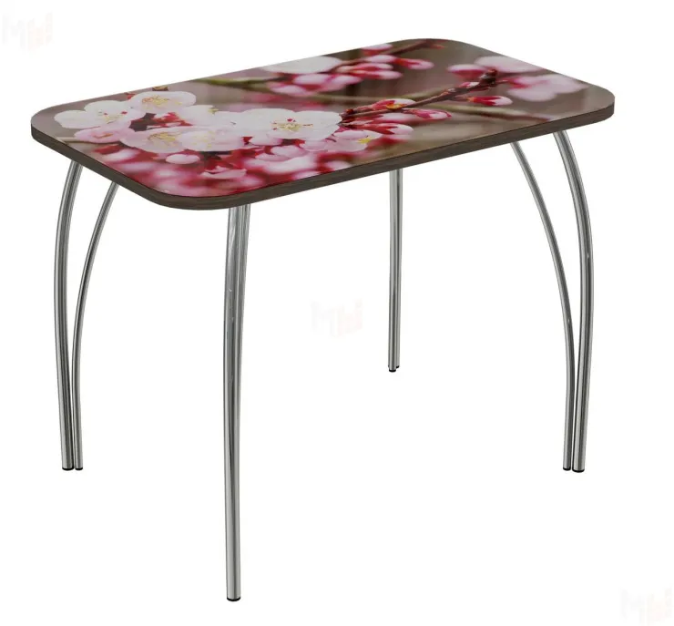 Стол прямоугольный с фотопечатью Сакура-2, ноги чайка