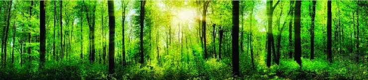 Стеновая панель SP-120