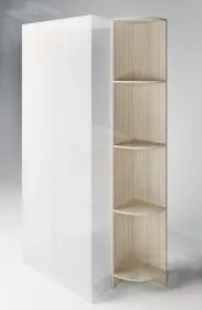 Стеллаж угловой в детскую комнату Фанки Кидз 13/56СВ