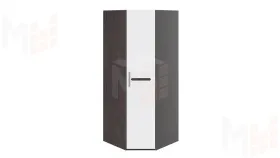 Шкаф угловой с 1-ой глухой дверью «Фьюжн»