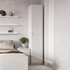 2.04.01.010.1 ПЕГАС шкаф 1 дверь RU белый