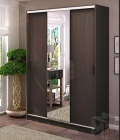 Шкаф-купе Альянс 1,5