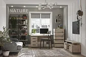 Гостиная Nature 5 Гаскон пайн