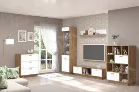 Гостиная Эго Дуб Крафт/Белый Глянец Вариант 5