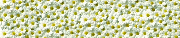 Стеновая панель с фотопечатью SP-019