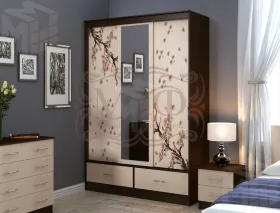 Шкаф-купе Модерн №1 Сакура