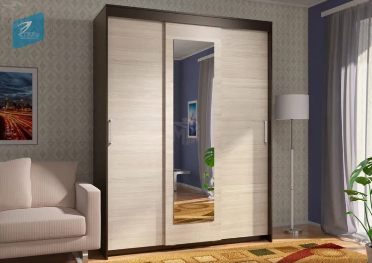 Шкаф-купе Эва ШК-017