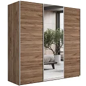 Шкаф-купе Эста 3-х дверный Медиум (4 посредине) (4 Зеркала / 8 ЛДСП) 270 см.