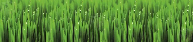 Стеновая панель FM-46