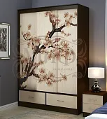 Шкаф-купе Модерн №2 Сакура