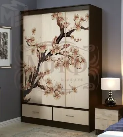 Шкаф-купе Модерн №2 Сакура