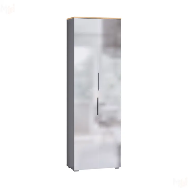 Шкаф для одежды Октава серый графит 13.338