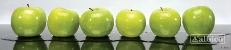 Стеновая панель с фотопечатью SP-040