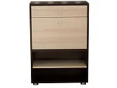 Обувница Мини-Лайт МЛ-4 Венге/ясень