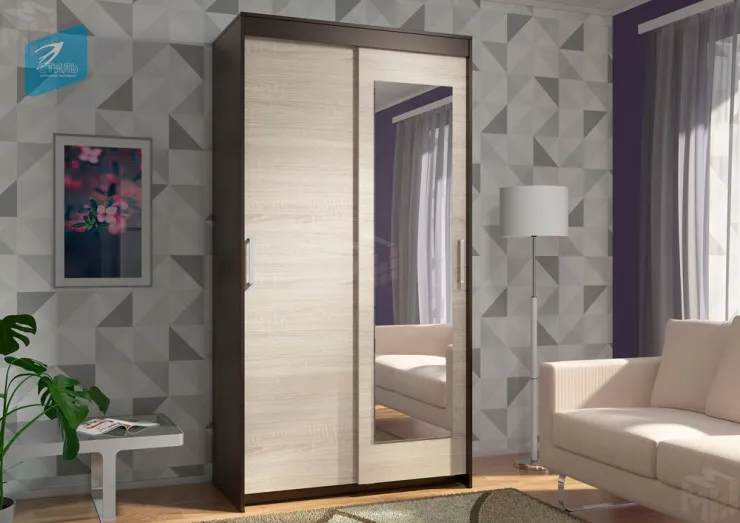 Шкаф-купе Эва ШК-016