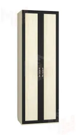 Шкаф комби Аврора ШК-22