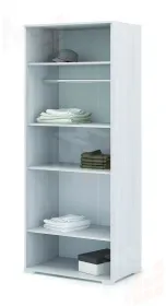 Шкаф 2-х дверный Сальма ШК 022