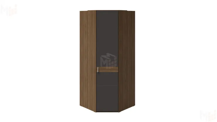 Шкаф угловой 1 глухой дверью «Харрис»