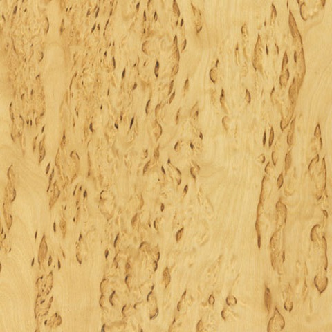 древесина карельской березы