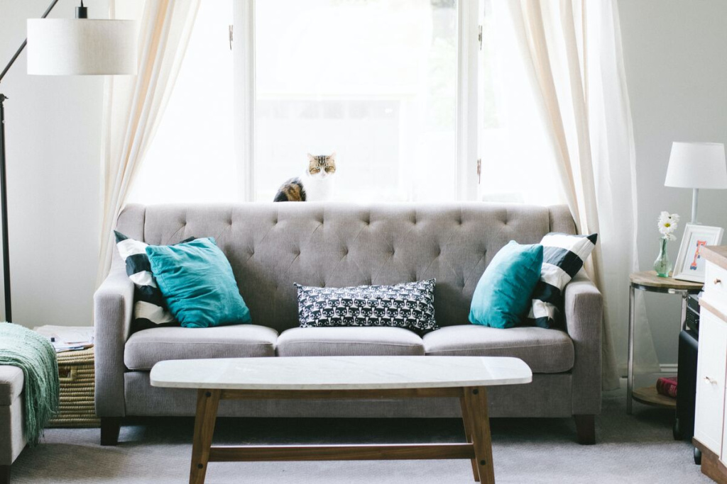 Как выбрать цвет дивана в гостиную: советы с фото