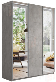 Шкаф-купе Прайм 3-х дверный Зеркало, ЛДСП 210 см