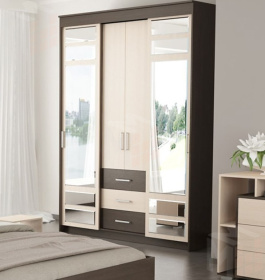 Шкаф-купе Юнона комби