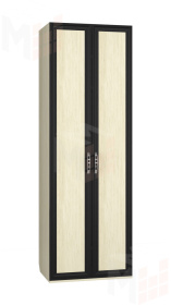 Шкаф платяной Аврора ШК-21